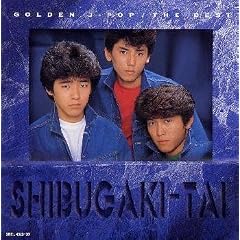 �V�u������~GOLDEN J-POP/THE BEST