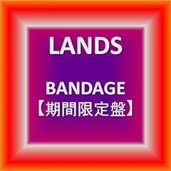 BANDAGE�y���Ԍ���Ձz