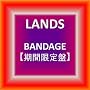 BANDAGE�y���Ԍ���Ձz