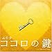 �R�R���̌�