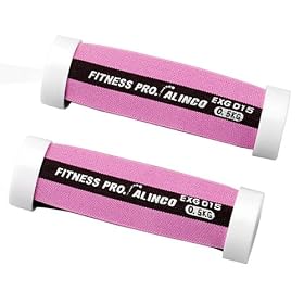 ALINCO(�A���C���R) �\�t�g�_���x��(0.5kg 2�g) EXG015