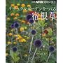 �i�`�������K�[�f��������h���� (�ʍ�NHK��̉��|)