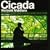 Cicada
