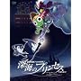 ������ŃP�����R��2 �[�C�̃v�����Z�X�ł���܂�!���ؔ� [DVD]