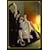�n������ ���� ���m�O [DVD]