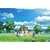 CLANNAD AFTER STORY 8 (��������) [DVD]
