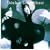 Visinda og Leyndardomur(�Ȋw�Ɛ_��)(���W���P�b�g�d�l)