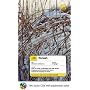 Teach Yourself Finnish Complete Course Package (Book + 2CDs) (TY: Complete Courses)