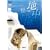 �n���C�E�L�̗� 6500�L�� [DVD]