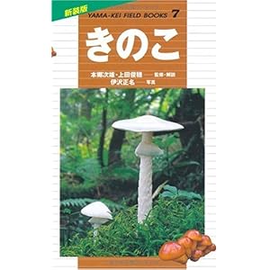 【クリックで詳細表示】きのこ (新装版山溪フィールドブックス) [単行本]