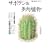 �T�{�e��&�����A�� (NHK��̉��| �V���|���k)