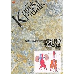 ��ʊO�Ȉ�̂��߂̌��ǊO�Ȃ̗v�_�Ɩӓ_ (Knack & Pitfalls)