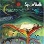 Space Walk