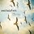 Hello Hurricane (W/Dvd)