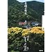 ����̋��� (NHK���̚�)