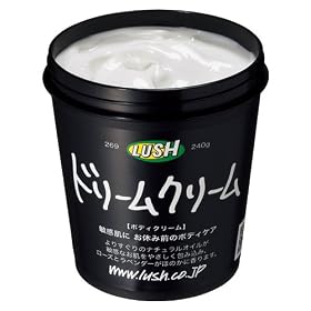 ���b�V���@�h���[���N���[��(240g)