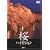 ���n�C�r�W���� Cherry Blossom HiVision [DVD]