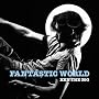 FANTASTIC WORLD