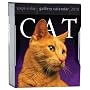 Cat Gallery 2010 Calendar (Page-A-Day Gallery Calendars)