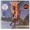 �W���C�A���g (GIANT) - Lead by Dann Huff.