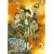�d�]�R�C�� (2) �ʏ�� [DVD]