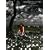 ����̃��C��IV CLASSICS+FILM OF MISIA IN KIBERA SLUM (DVD+CD���񐶎Y�����)