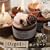 Orgel+(�I���S�[���Ղ炷) ���o���[�h
