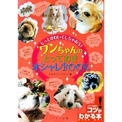 �����Ƃ��킢�������Ⴈ��!���������̂Ƃ��Ă����I�V����BOOK (�R�c���킩��{!)