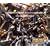 �X�[�p�[���{�b�g���OG ORIGINAL GENERATIONS �I���W�i���T�E���h�g���b�N