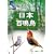 ���{�S��/�f���Ɩ����Ŗ����ޖ쒹�}�� [DVD]