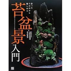 苔盆景入門