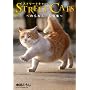 STREET CATS -�̂�˂��B�ʐ^�W-