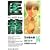 �㗴 14�\Team Medical Dragon (�r�b�O�R�~�b�N�X)