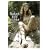 Naked Eye ORIGIN �ق��̂��� [DVD]