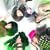 Prism (DVD�t)