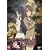 �������l�{�������� ���� ��ފ� [DVD]