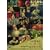 ��W��! �t�̃t�H�[�N�\���O [DVD]