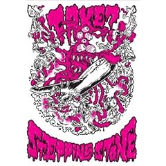 FAKE ? LIVE STEPPING STONE EXTRA DATE 2004.1.9 [DVD]