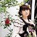 Sincerely Dears..(DVD�t)