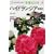 �n�C�h�����W�A�\���z�� (NHK��̉��|�E���12����)