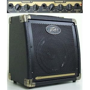 PEAVEY Ecoustic E20
