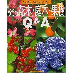 �͂��߂ẲԖ؁E��؁E�ʎ�Q&A (��w�̗F�����V���[�Y�\����ȂƂ��ǂ�������?)