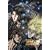 �^�~����`�� �k�l�̌� �����A�` �ʏ�� [DVD]