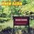 Busse Woods