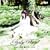 �uPARTY PLAY�v�qDVD�t����Ձr TV�A�j�� �X���b�v�A�b�v�p�[�e�B�[ OP�e�[�}