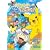 �s�J�`���E�̂��ς��A�C�����h [DVD]