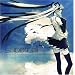 supercell (�ʏ��)