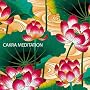 CAKRA MEDITATION