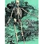 Albinus on Anatomy