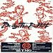 Dodge The Bullet ~LIVE 2004~ [DVD]